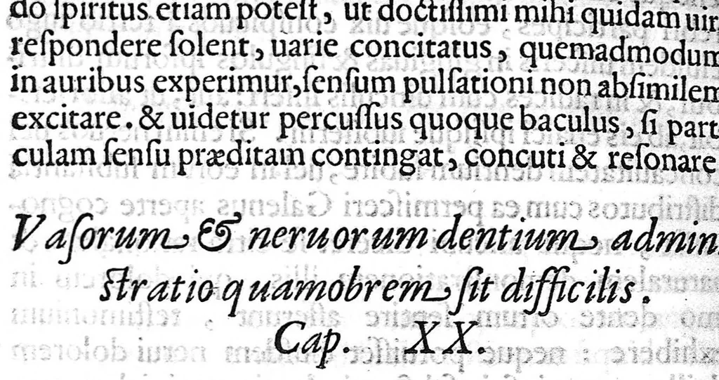 An illustration from Libellus de dentibus, 1563, leaf 65