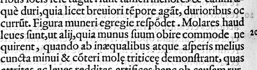An illustration from Libellus de dentibus, 1563, leaf 95
