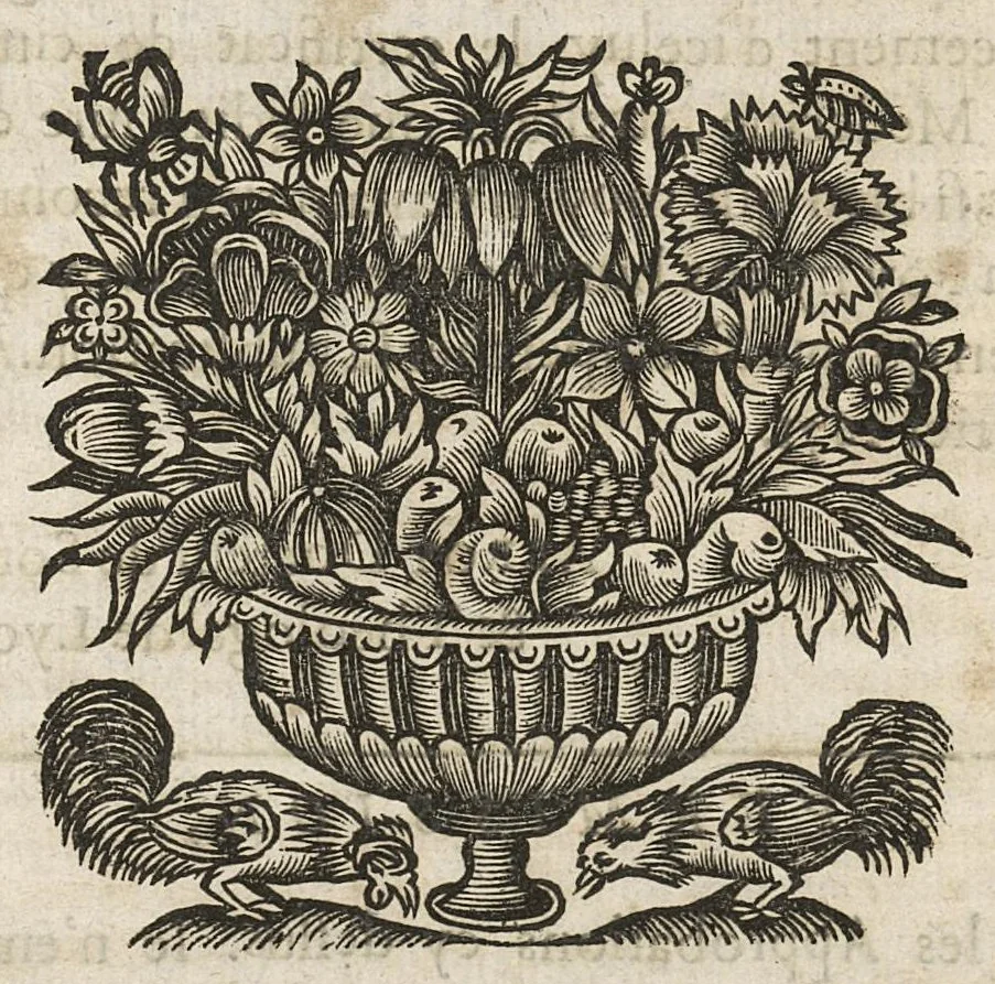 An illustration from Les Commentaires ou les oeuvre chirugicales d'Antoine Lambert...divisez en cinq parties dont les matieres sont marquées à la page suivante. Seconde edition. Reveus, corrigés & augmentés d'observations...., 1671, leaf 23
