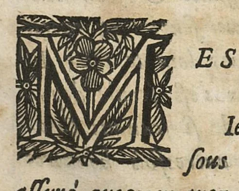 An illustration from Les Commentaires ou les oeuvre chirugicales d'Antoine Lambert...divisez en cinq parties dont les matieres sont marquées à la page suivante. Seconde edition. Reveus, corrigés & augmentés d'observations...., 1671, leaf 6