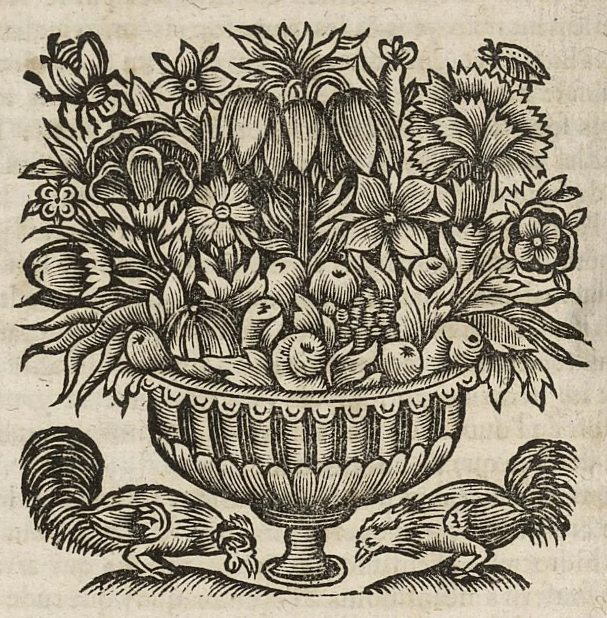 An illustration from Les Commentaires ou les oeuvre chirugicales d'Antoine Lambert...divisez en cinq parties dont les matieres sont marquées à la page suivante. Seconde edition. Reveus, corrigés & augmentés d'observations...., 1671, leaf 613