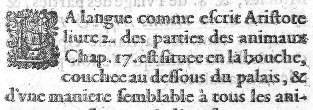 An illustration from Histoire de tous les muscles du corps humain ou leurs nom, nombre scituation, origine, insertion & action, sont demontrez, 1612, leaf 32