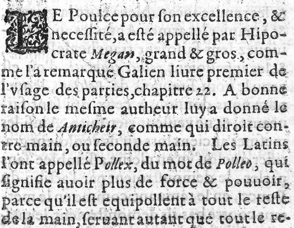 An illustration from Histoire de tous les muscles du corps humain ou leurs nom, nombre scituation, origine, insertion & action, sont demontrez, 1612, leaf 76