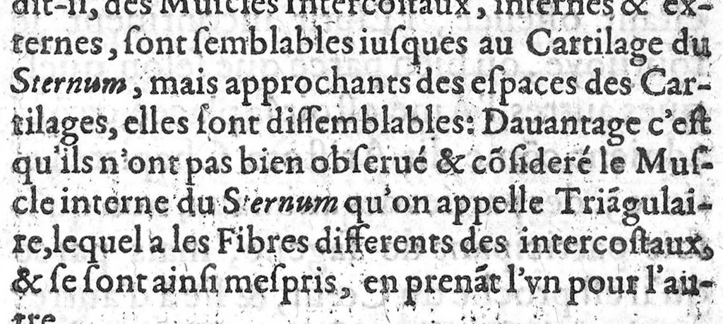 An illustration from Histoire de tous les muscles du corps humain ou leurs nom, nombre scituation, origine, insertion & action, sont demontrez, 1612, leaf 84