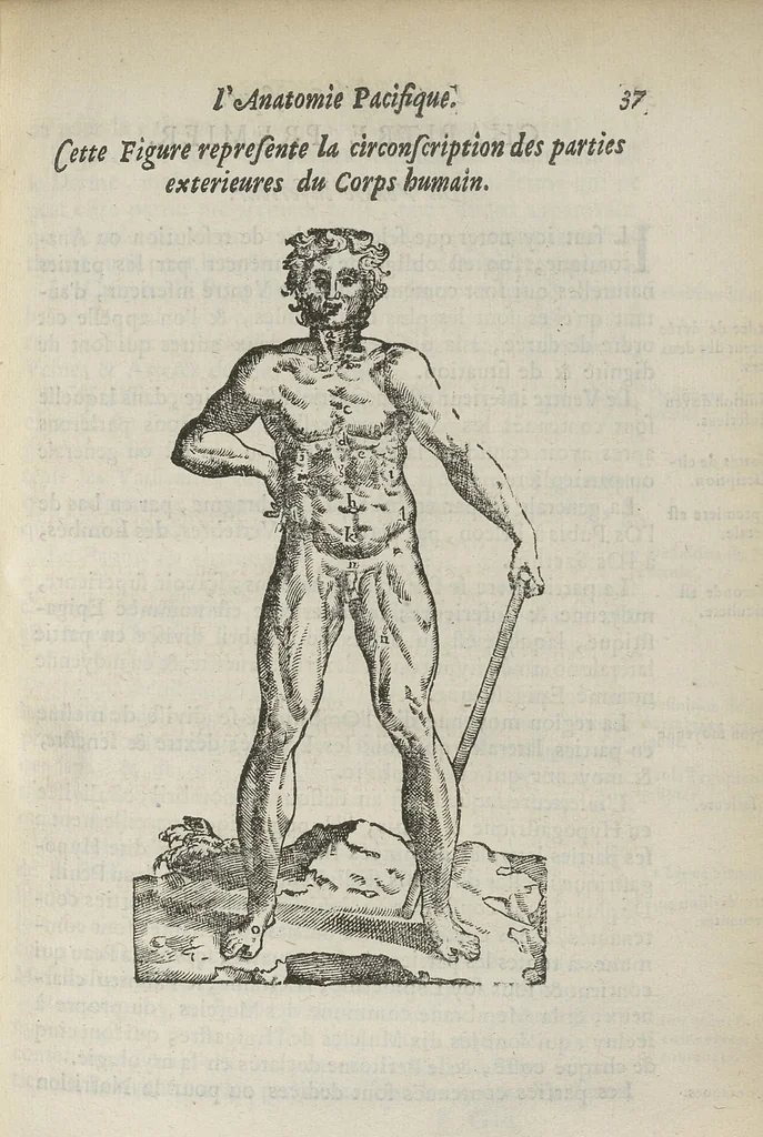 An illustration from L'Oeconomie chirurgicale, pour le restablissement des parties molles du corps humain. Contenant les principes de chirurgie, & un Traitté methodique de la garison de la peste, & de tous ses accidents, par le moyen d'un remede experimenté. Et nouvellement mis en lumiere..., 1671, leaf 224