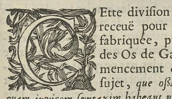 An illustration from L'Oeconomie chirurgicale, pour le restablissement des parties molles du corps humain. Contenant les principes de chirurgie, & un Traitté methodique de la garison de la peste, & de tous ses accidents, par le moyen d'un remede experimenté. Et nouvellement mis en lumiere..., 1671, leaf 378