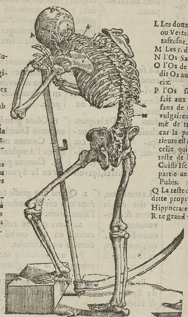 An illustration from L'Oeconomie chirurgicale, pour le restablissement des parties molles du corps humain. Contenant les principes de chirurgie, & un Traitté methodique de la garison de la peste, & de tous ses accidents, par le moyen d'un remede experimenté. Et nouvellement mis en lumiere..., 1671, leaf 407