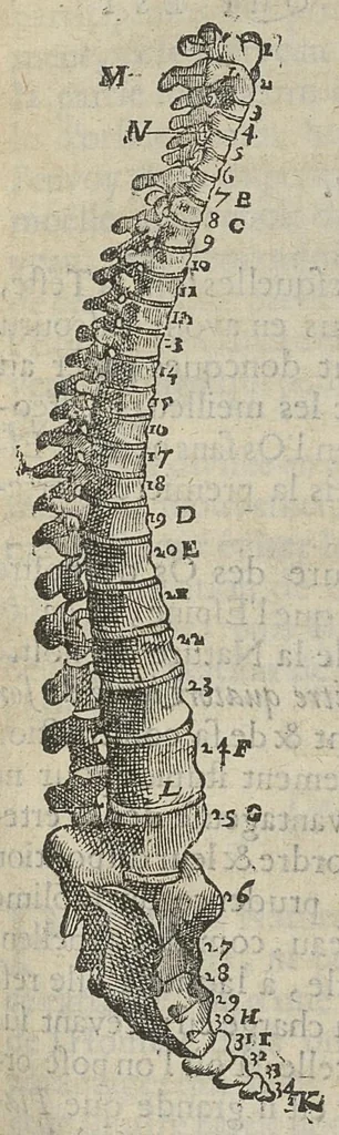 An illustration from L'Oeconomie chirurgicale, pour le restablissement des parties molles du corps humain. Contenant les principes de chirurgie, & un Traitté methodique de la garison de la peste, & de tous ses accidents, par le moyen d'un remede experimenté. Et nouvellement mis en lumiere..., 1671, leaf 462