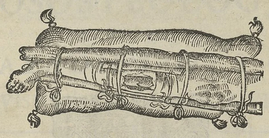 An illustration from L'Oeconomie chirurgicale, pour le restablissement des parties molles du corps humain. Contenant les principes de chirurgie, & un Traitté methodique de la garison de la peste, & de tous ses accidents, par le moyen d'un remede experimenté. Et nouvellement mis en lumiere..., 1671, leaf 580