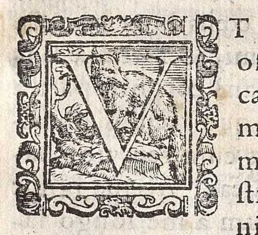 An illustration from Ioannis Padovanii Veronensis De singularum humani corporis partium significationibus ex varijs antiquorum sapientum voluminibus excerptis, atque in peculiares tabulas summatim pro qualibet parte digestis; opus ad dignoscendos hominum mores, & qualitates, valde utile & necessarium. Authorum nomina, ex quibus significationes ipsae excerptae sunt, versa pagina indicabit, 1589, leaf 4