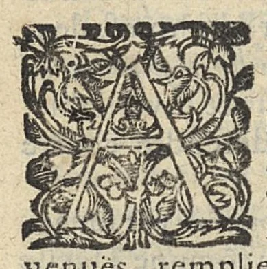 An illustration from Advertissement a Theophraste Renaudot contenant les Memoires pour justifier les Anciens droicts & privilèges de la Faculté de médecine de Paris, 1641, leaf 8