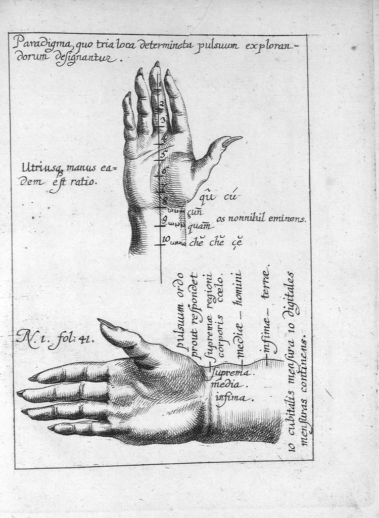 An illustration from Clavis medica ad Chinarum doctrinam de pulsibus, 1686, leaf 143