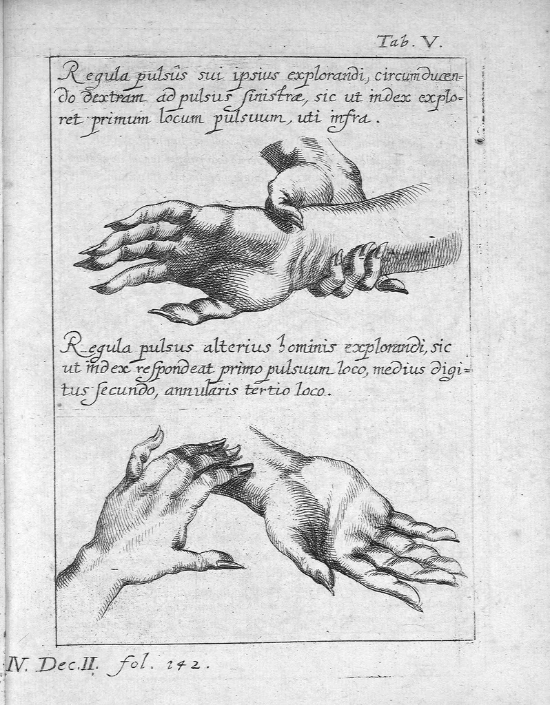 An illustration from Clavis medica ad Chinarum doctrinam de pulsibus, 1686, leaf 145