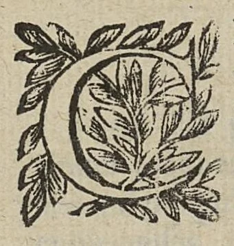 An illustration from La chiromancie, la physionomie, et la geomance avec la signification des Nombres, & l'ouvrage de la Rouë de Pytagore, 1663, leaf 258