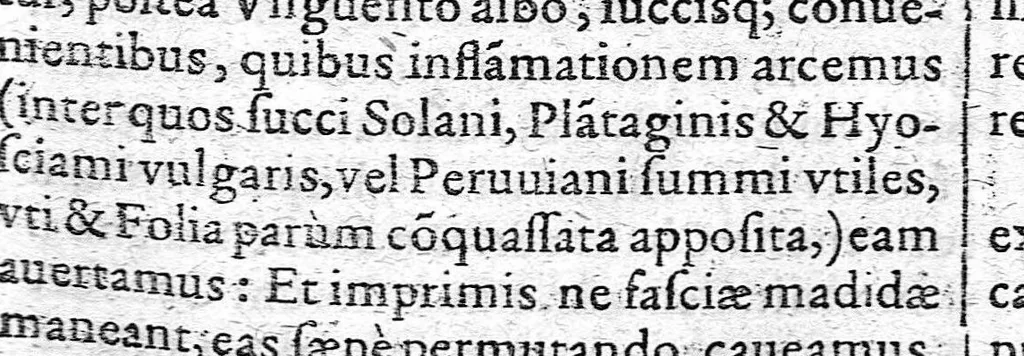 An illustration from Felicis Plateri quondam Archiatri et profess. Basil. Ordinarii praxeos medicae Tomi tres, 1625, leaf 868