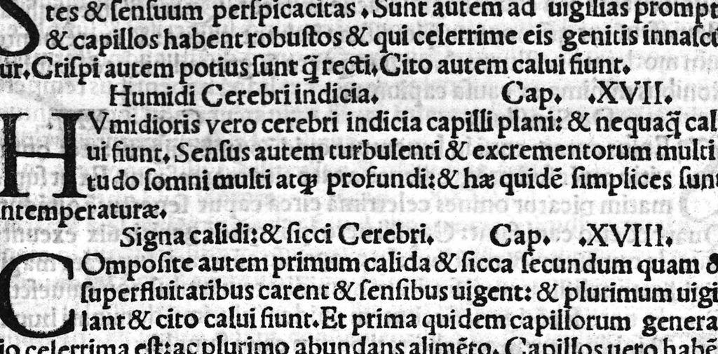 An illustration from Galeni in Aphorismos Hippocratis ab ipso Nicolao Leoniceno Vicentino interprete, diligentius emendati et recogniti, simulatque caeteri sequentes:Nicolai Leoniceni de Tribus doctrinis ordinatis secundum Galeni sententiam , Ars parva, Therapeutica ad Glauconem, de Potentiis naturalibus, Quaestio de virtute formativa, de Crisibus, de Inaequali intemperatura, 1524, leaf 250