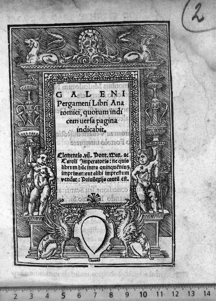 An illustration from Galeni Pergameni Libri Anatomici, quorum indium versa pagina indicabit, 1529, leaf 0