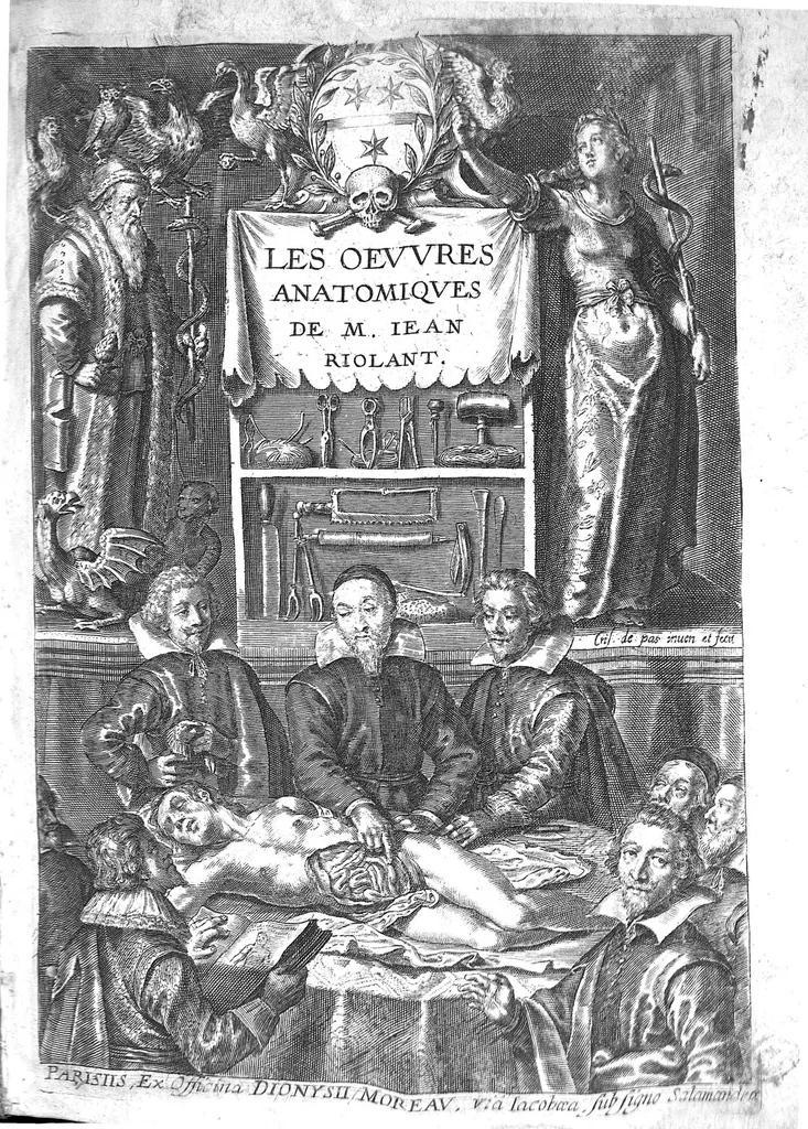 An illustration from Les Oeuvres anatomiques de M. Jean Riolan,... reveues et augmentées d'une cinquième partie en ceste édition... Le tout rangé, divisé, noté et mis en françois par M. Pierre Constant,..., 1628, leaf 0
