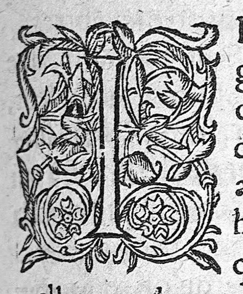 An illustration from Les Oeuvres anatomiques de M. Jean Riolan,... reveues et augmentées d'une cinquième partie en ceste édition... Le tout rangé, divisé, noté et mis en françois par M. Pierre Constant,..., 1628, leaf 1117