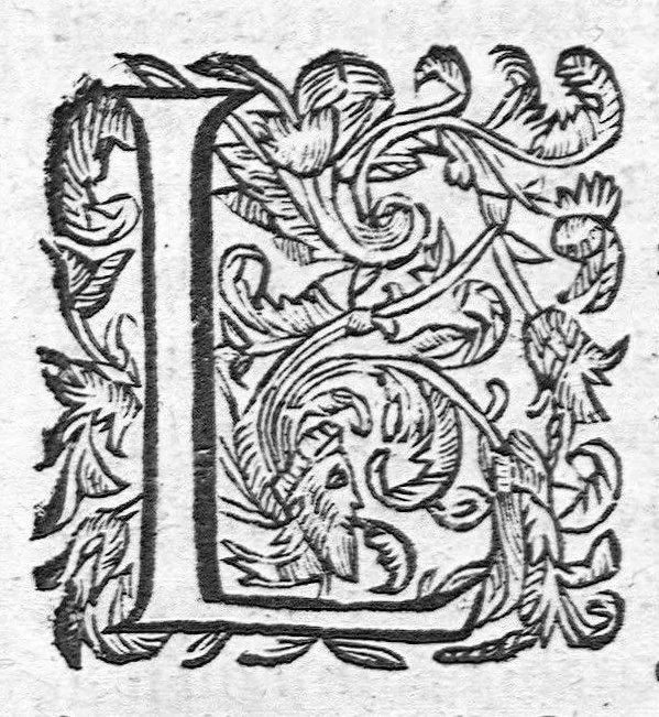 An illustration from Les Oeuvres anatomiques de M. Jean Riolan,... reveues et augmentées d'une cinquième partie en ceste édition... Le tout rangé, divisé, noté et mis en françois par M. Pierre Constant,..., 1628, leaf 1387