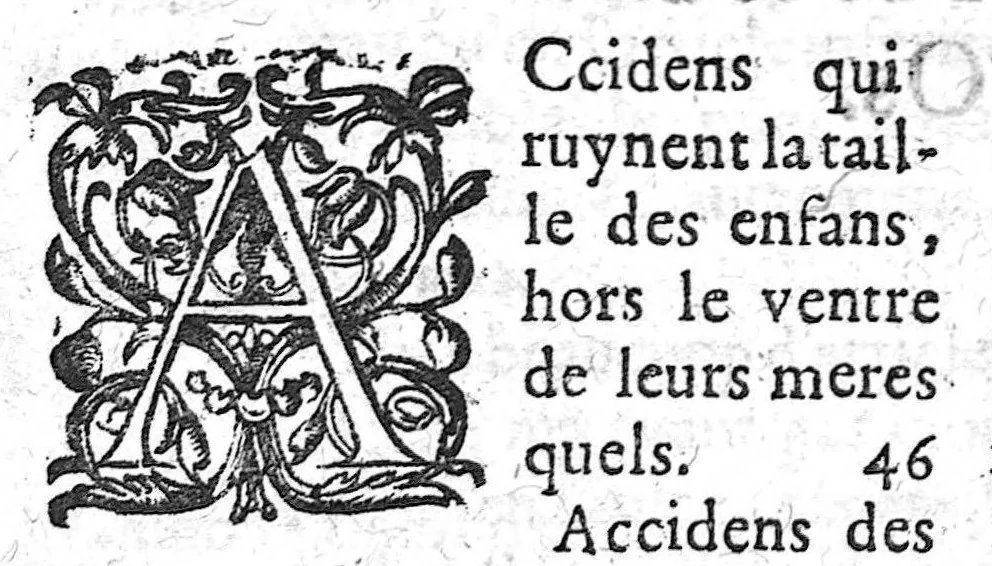 An illustration from Les Oeuvres anatomiques de M. Jean Riolan,... reveues et augmentées d'une cinquième partie en ceste édition... Le tout rangé, divisé, noté et mis en françois par M. Pierre Constant,..., 1628, leaf 1454