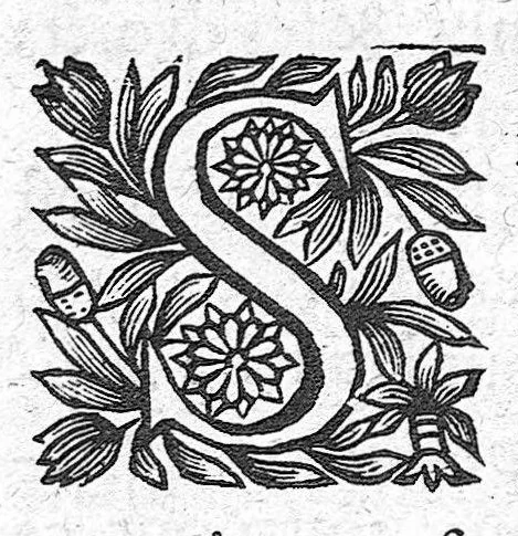 An illustration from Les Oeuvres anatomiques de M. Jean Riolan,... reveues et augmentées d'une cinquième partie en ceste édition... Le tout rangé, divisé, noté et mis en françois par M. Pierre Constant,..., 1628, leaf 297