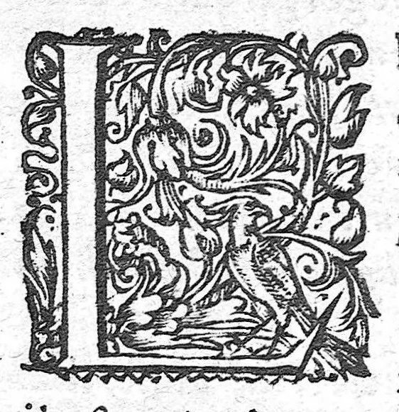 An illustration from Les Oeuvres anatomiques de M. Jean Riolan,... reveues et augmentées d'une cinquième partie en ceste édition... Le tout rangé, divisé, noté et mis en françois par M. Pierre Constant,..., 1628, leaf 349