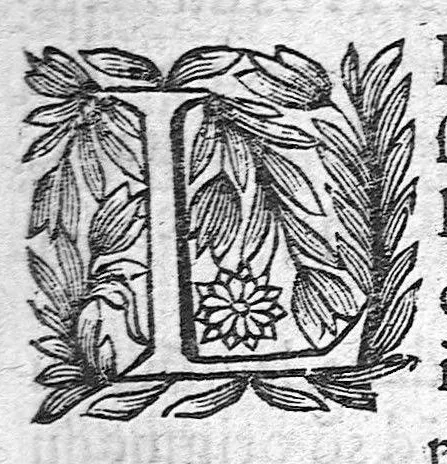 An illustration from Les Oeuvres anatomiques de M. Jean Riolan,... reveues et augmentées d'une cinquième partie en ceste édition... Le tout rangé, divisé, noté et mis en françois par M. Pierre Constant,..., 1628, leaf 806