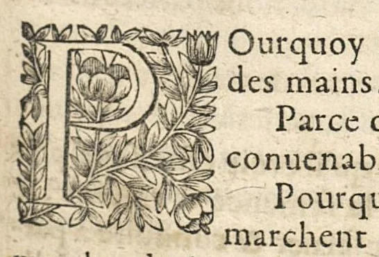 An illustration from De l'usage des parties du corps humain ; trad. du grec et du latin..., 1659, leaf 118