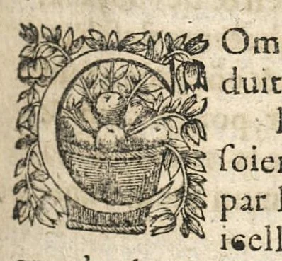 An illustration from De l'usage des parties du corps humain ; trad. du grec et du latin..., 1659, leaf 176