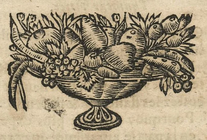 An illustration from De l'usage des parties du corps humain ; trad. du grec et du latin..., 1659, leaf 460