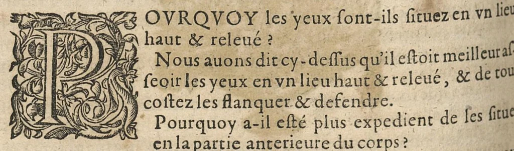 An illustration from De l'usage des parties du corps humain ; trad. du grec et du latin..., 1659, leaf 461