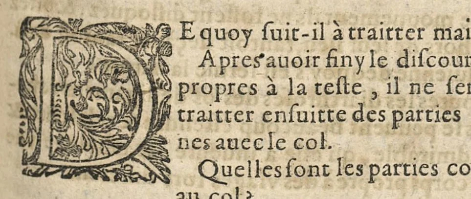 An illustration from De l'usage des parties du corps humain ; trad. du grec et du latin..., 1659, leaf 566