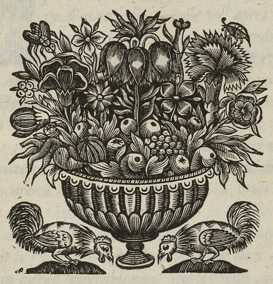 An illustration from Les commentaires d'Antoine Lambert natif du LVC, me chirurgien à Marseille, divisez en cinq parties dont les matieres seront marquées à la page suivante, 1662, leaf 464