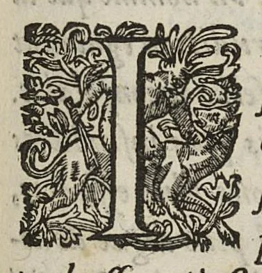 An illustration from Les commentaires d'Antoine Lambert natif du LVC, me chirurgien à Marseille, divisez en cinq parties dont les matieres seront marquées à la page suivante, 1662, leaf 466