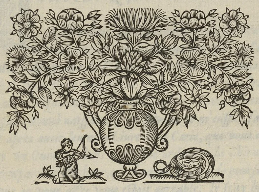 An illustration from Les commentaires d'Antoine Lambert natif du LVC, me chirurgien à Marseille, divisez en cinq parties dont les matieres seront marquées à la page suivante, 1662, leaf 624
