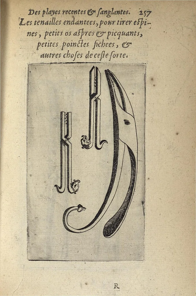 An illustration from Les Institutions chirurgiques, 1629, leaf 304
