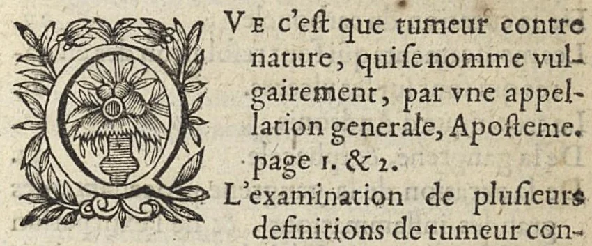 An illustration from Les Institutions chirurgiques, 1629, leaf 4
