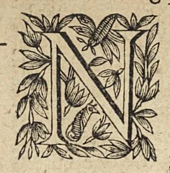 An illustration from Les Institutions chirurgiques, 1629, leaf 533