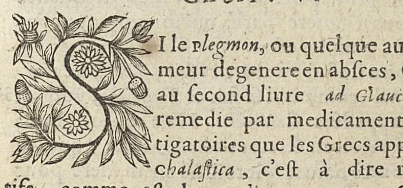 An illustration from Les Institutions chirurgiques, 1629, leaf 94