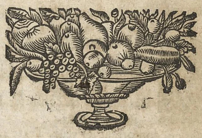 An illustration from L'Escole des medecins de Salerne, qui enseigne comme il faut sainnement & longuement Vivre....traduit du grec en francois & illustré des Commentaires de M. Michel le Long,..., 1660, leaf 14