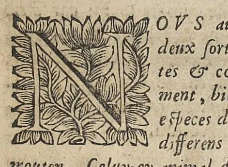 An illustration from L'Escole des medecins de Salerne, qui enseigne comme il faut sainnement & longuement Vivre....traduit du grec en francois & illustré des Commentaires de M. Michel le Long,..., 1660, leaf 161