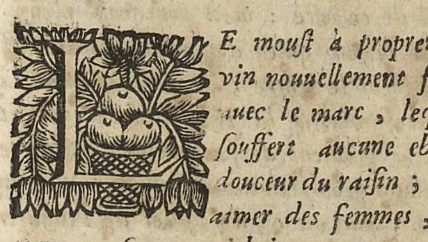 An illustration from L'Escole des medecins de Salerne, qui enseigne comme il faut sainnement & longuement Vivre....traduit du grec en francois & illustré des Commentaires de M. Michel le Long,..., 1660, leaf 276