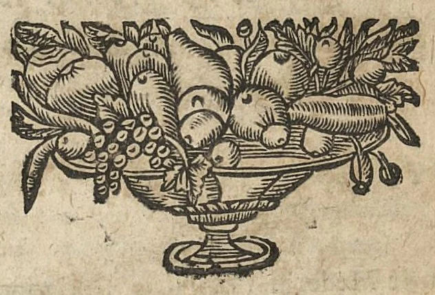 An illustration from L'Escole des medecins de Salerne, qui enseigne comme il faut sainnement & longuement Vivre....traduit du grec en francois & illustré des Commentaires de M. Michel le Long,..., 1660, leaf 622