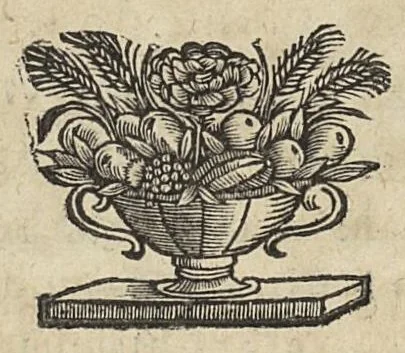 An illustration from Nouvelles expériences sur la vipere, ou l'on verra une description exacte de toutes ses parties, la source de son venin, ses divers effets, & les remedes exquis que les artistes peuvent tirer cu corps de cet animal..., 1672, leaf 17