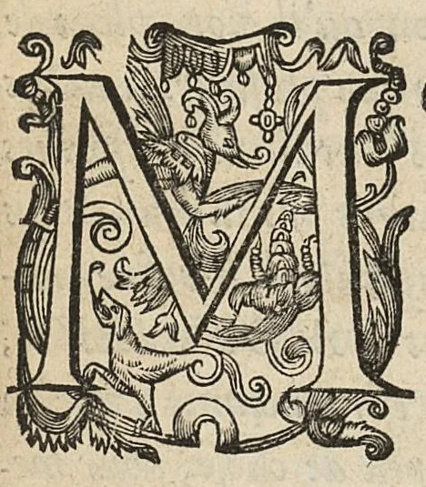 An illustration from Nouvelles expériences sur la vipere, ou l'on verra une description exacte de toutes ses parties, la source de son venin, ses divers effets, & les remedes exquis que les artistes peuvent tirer cu corps de cet animal..., 1672, leaf 228