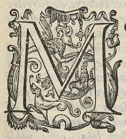An illustration from Nouvelles expériences sur la vipere, ou l'on verra une description exacte de toutes ses parties, la source de son venin, ses divers effets, & les remedes exquis que les artistes peuvent tirer cu corps de cet animal..., 1672, leaf 8