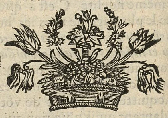 An illustration from Preservatifs et remedes contre la peste, ou le capucin charitable, enseignant la methode pour remedier aux grandes miseres que la peste a coutume de causer parmy les peuples..., 1668, leaf 257