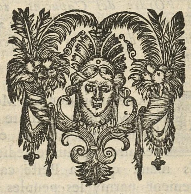 An illustration from Preservatifs et remedes contre la peste, ou le capucin charitable, enseignant la methode pour remedier aux grandes miseres que la peste a coutume de causer parmy les peuples..., 1668, leaf 404