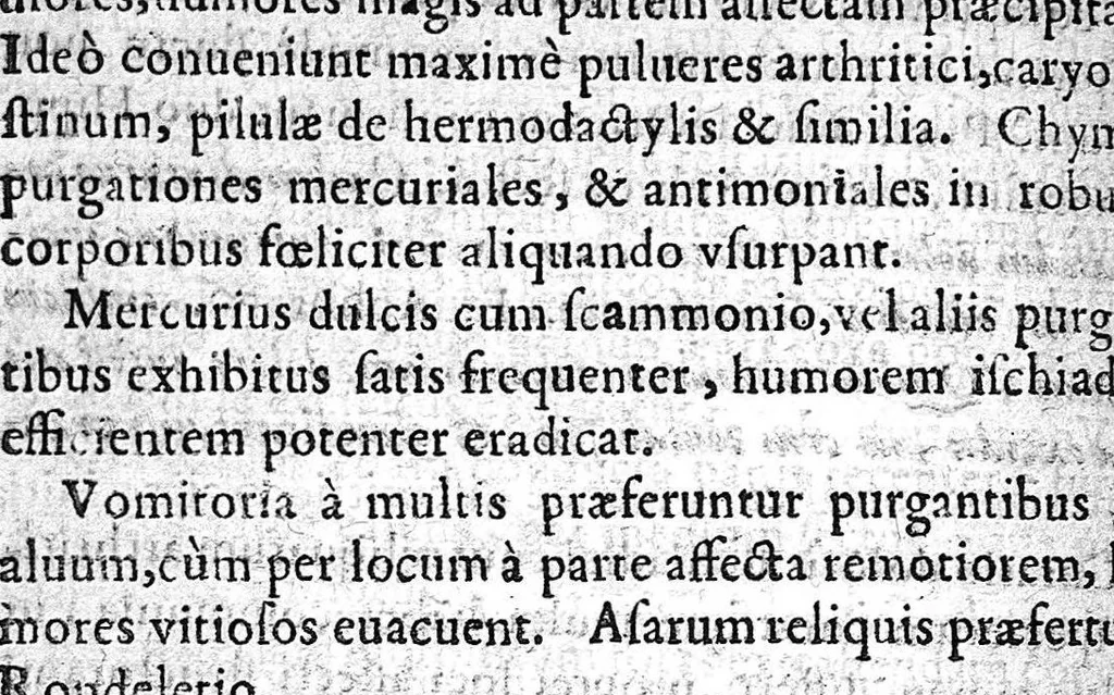 An illustration from Praxis medica cum theoria. Tomus secundus, 1660, leaf 489